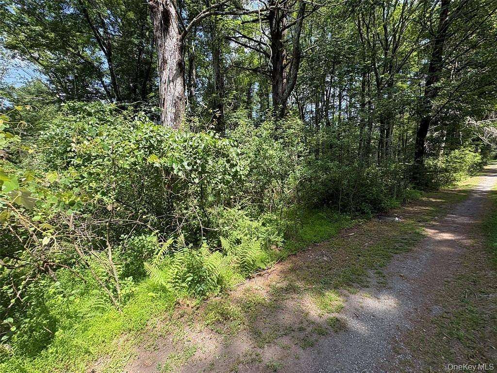 0.46 Acres of Residential Land for Sale in Glen Spey, New York