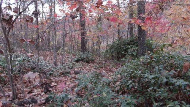 4 Acres of Residential Land for Sale in Smithville, Tennessee