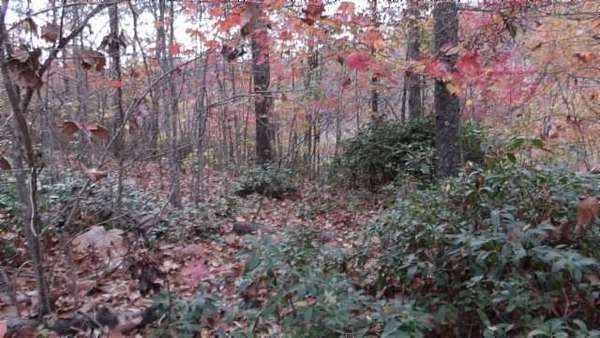 4 Acres of Residential Land for Sale in Smithville, Tennessee