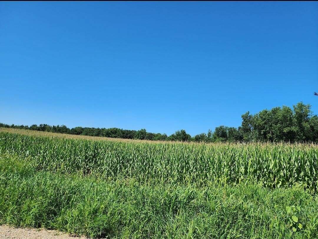 37.4 Acres of Land for Sale in Constantine, Michigan