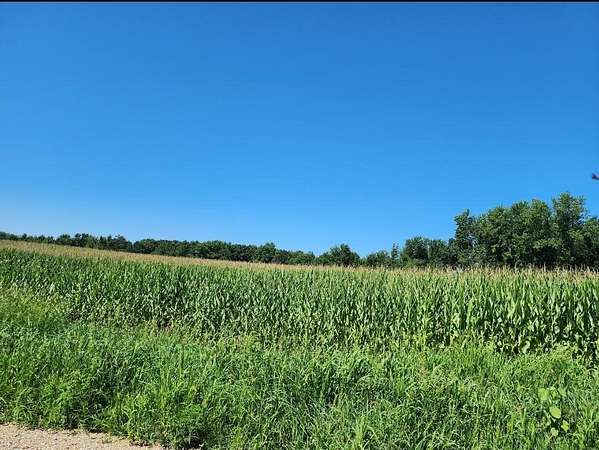 37.4 Acres of Land for Sale in Constantine, Michigan