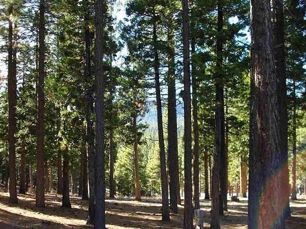 1 Acre of Residential Land for Sale in Portola, California