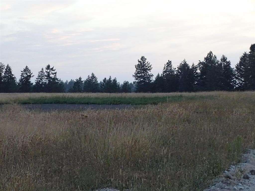 10 Acres of Land for Sale in Chattaroy, Washington