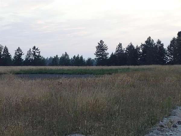 10 Acres of Land for Sale in Chattaroy, Washington