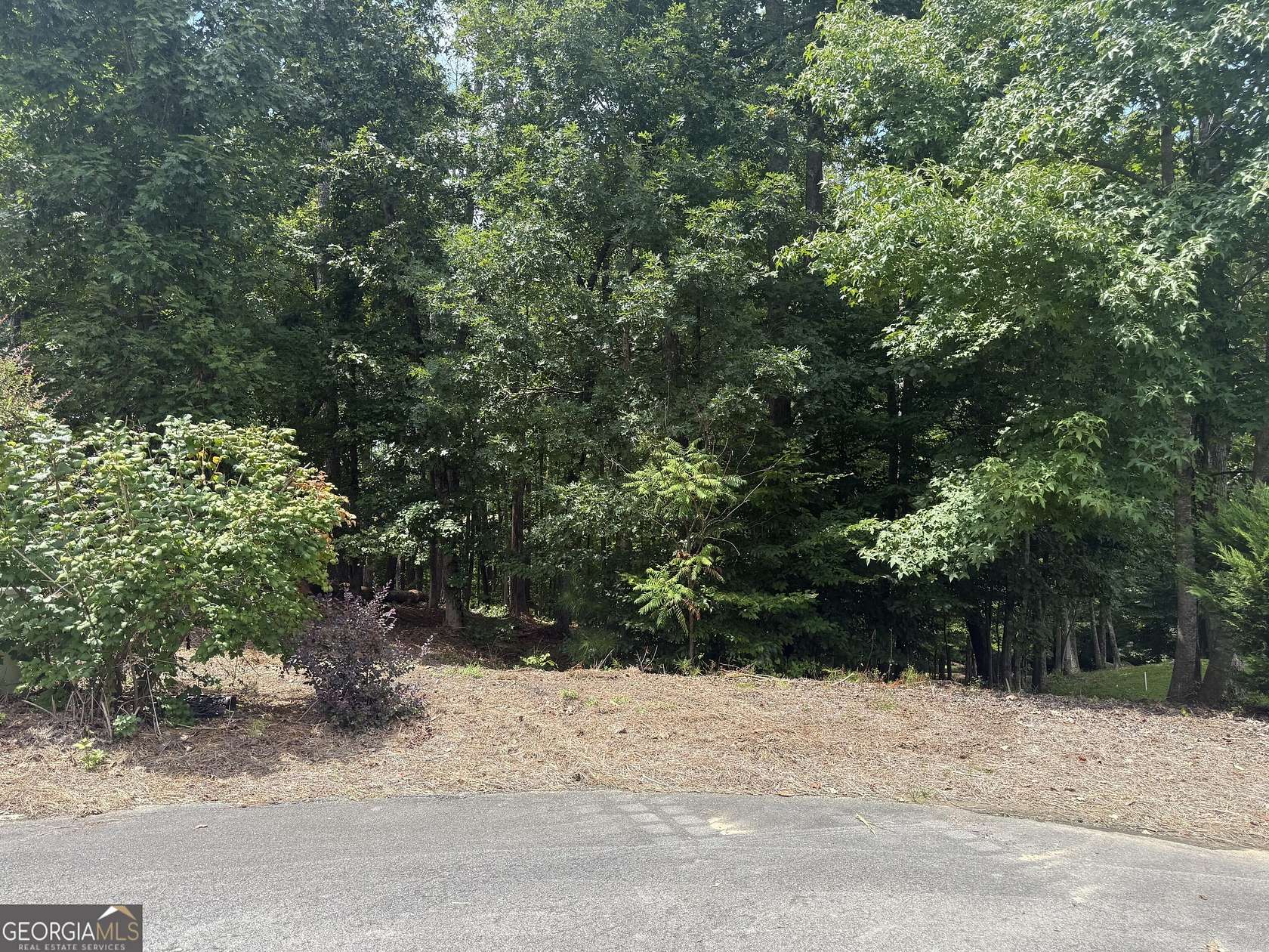 1.9 Acres of Residential Land for Sale in Dallas, Georgia