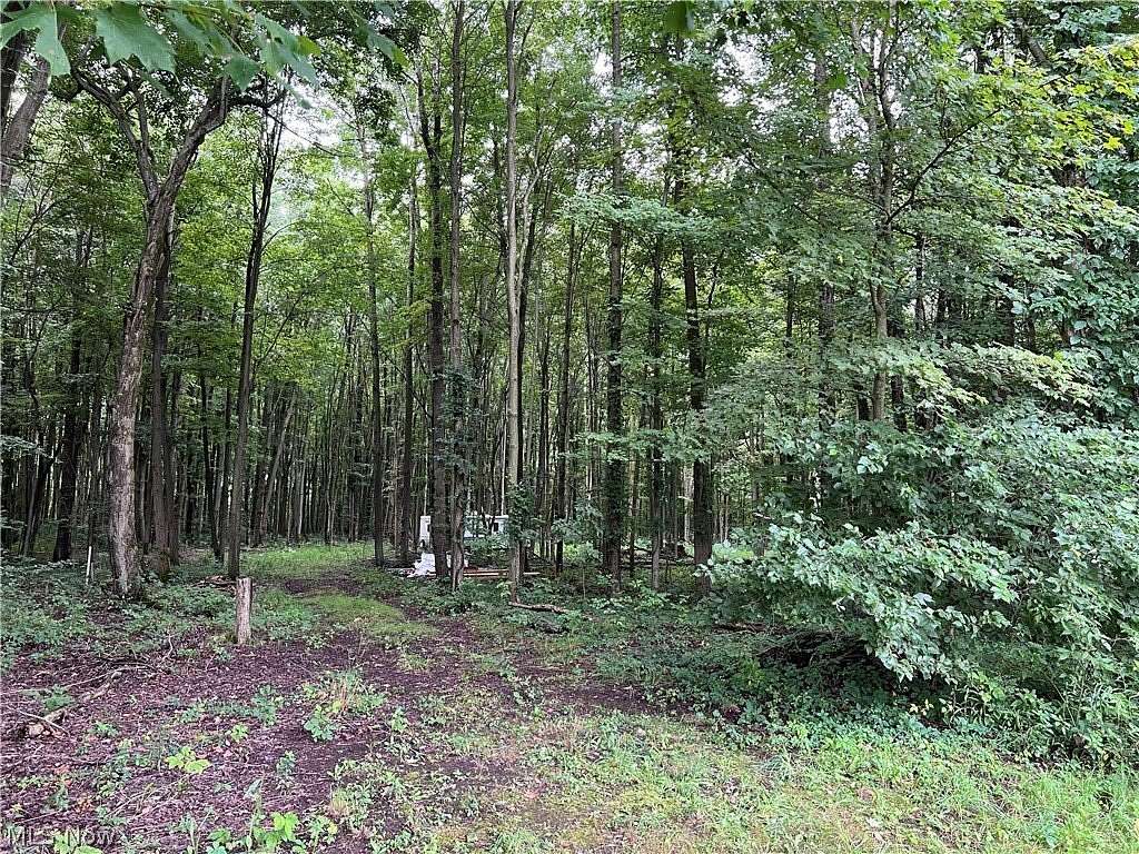 5.13 Acres of Residential Land for Sale in Conneaut, Ohio