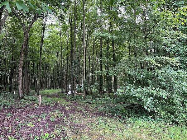 5.13 Acres of Residential Land for Sale in Conneaut, Ohio