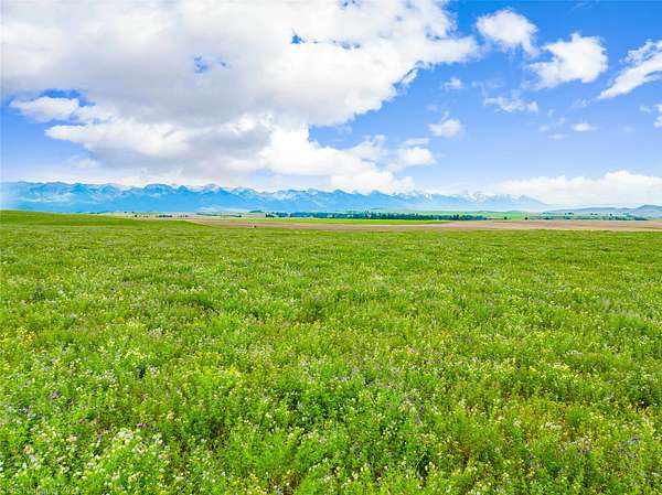 20.2 Acres of Land for Sale in Polson, Montana