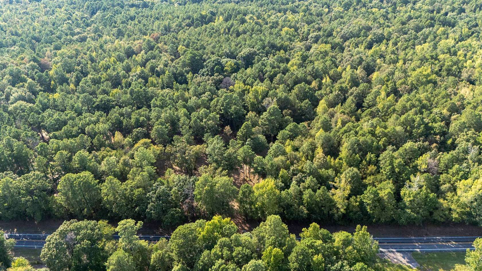 23 Acres of Recreational & Residential Land for Sale in Gilmer, Texas
