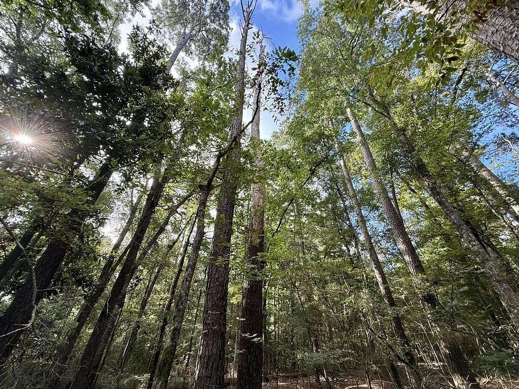 0.27 Acres of Residential Land for Sale in Hemphill, Texas