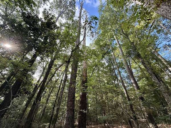 0.27 Acres of Residential Land for Sale in Hemphill, Texas