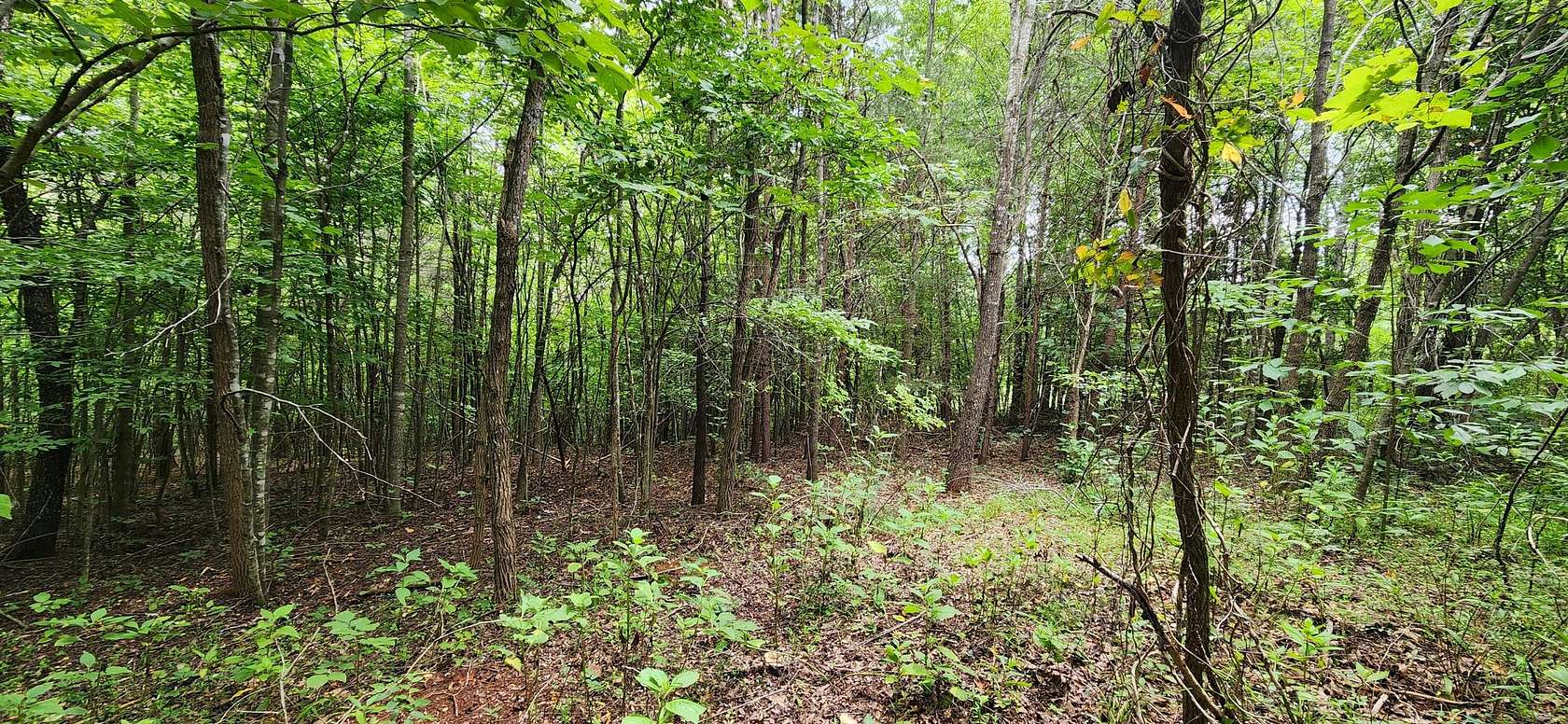 3 Acres of Land for Sale in Gladehill, Virginia