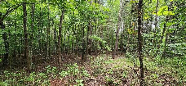 3 Acres of Land for Sale in Gladehill, Virginia
