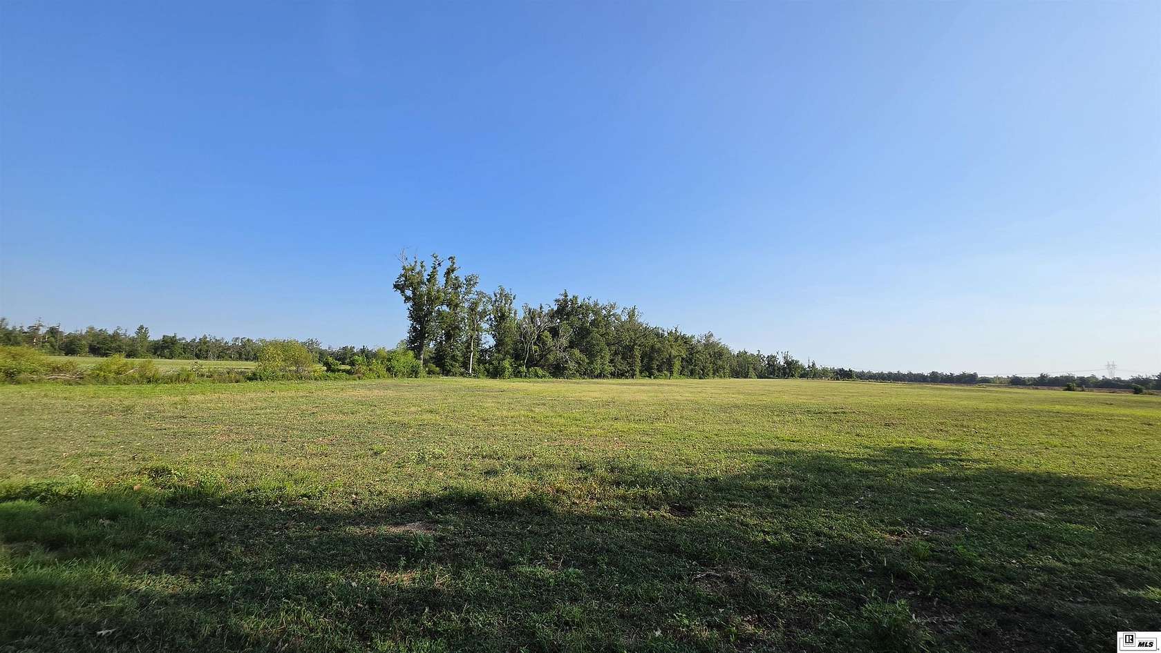 40 Acres of Agricultural Land for Sale in Delhi, Louisiana