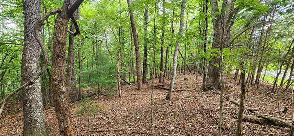 2.7 Acres of Land for Sale in Hardy, Virginia