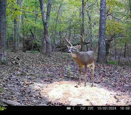 67 Acres of Recreational Land for Sale in Ash Flat, Arkansas