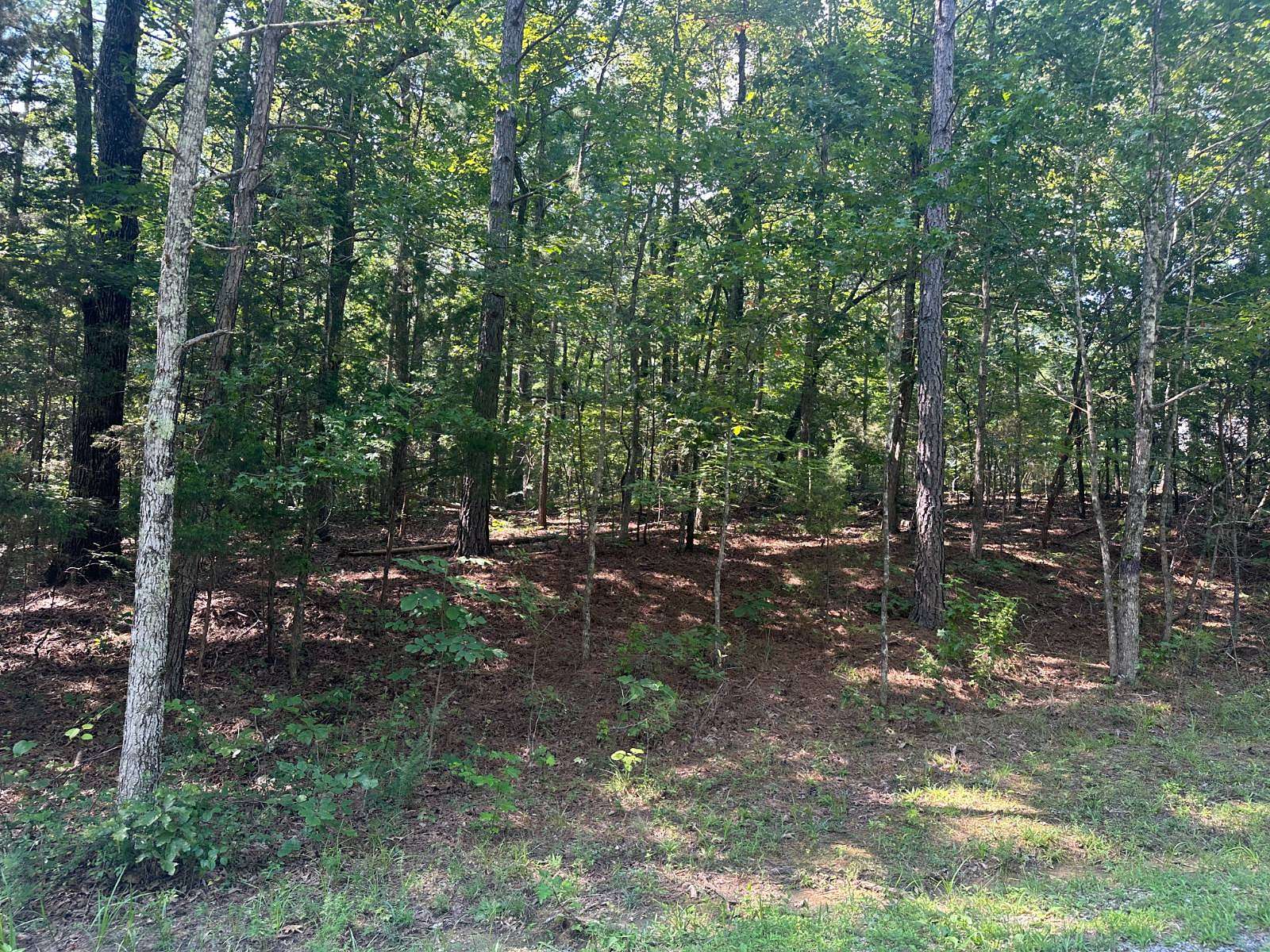7.7 Acres of Residential Land for Sale in Buchanan, Tennessee