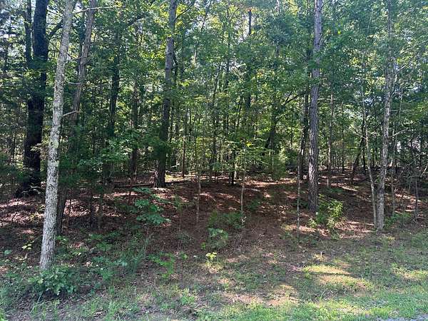 7.7 Acres of Residential Land for Sale in Buchanan, Tennessee