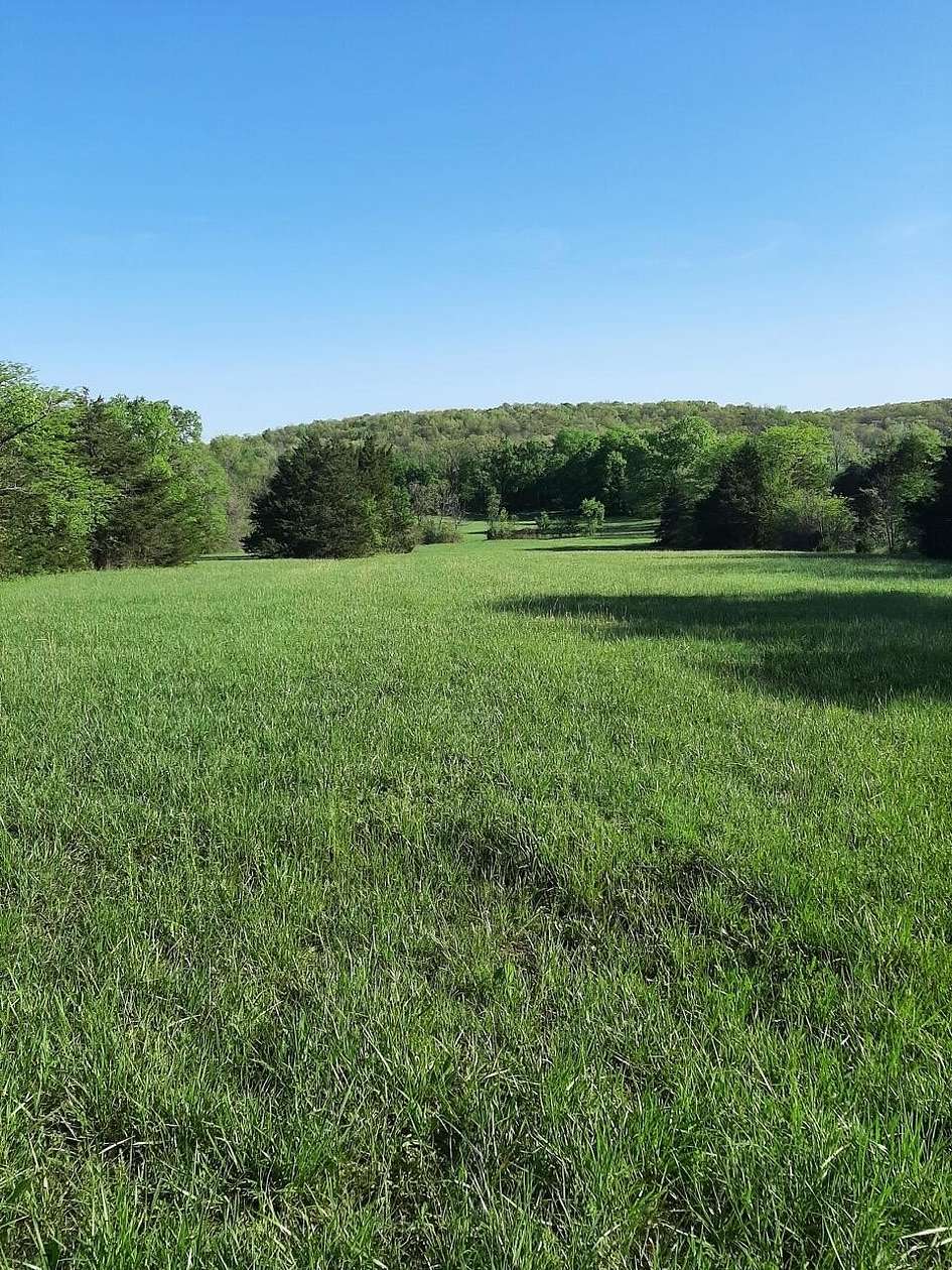 19.6 Acres of Land with Home for Sale in Brighton, Missouri