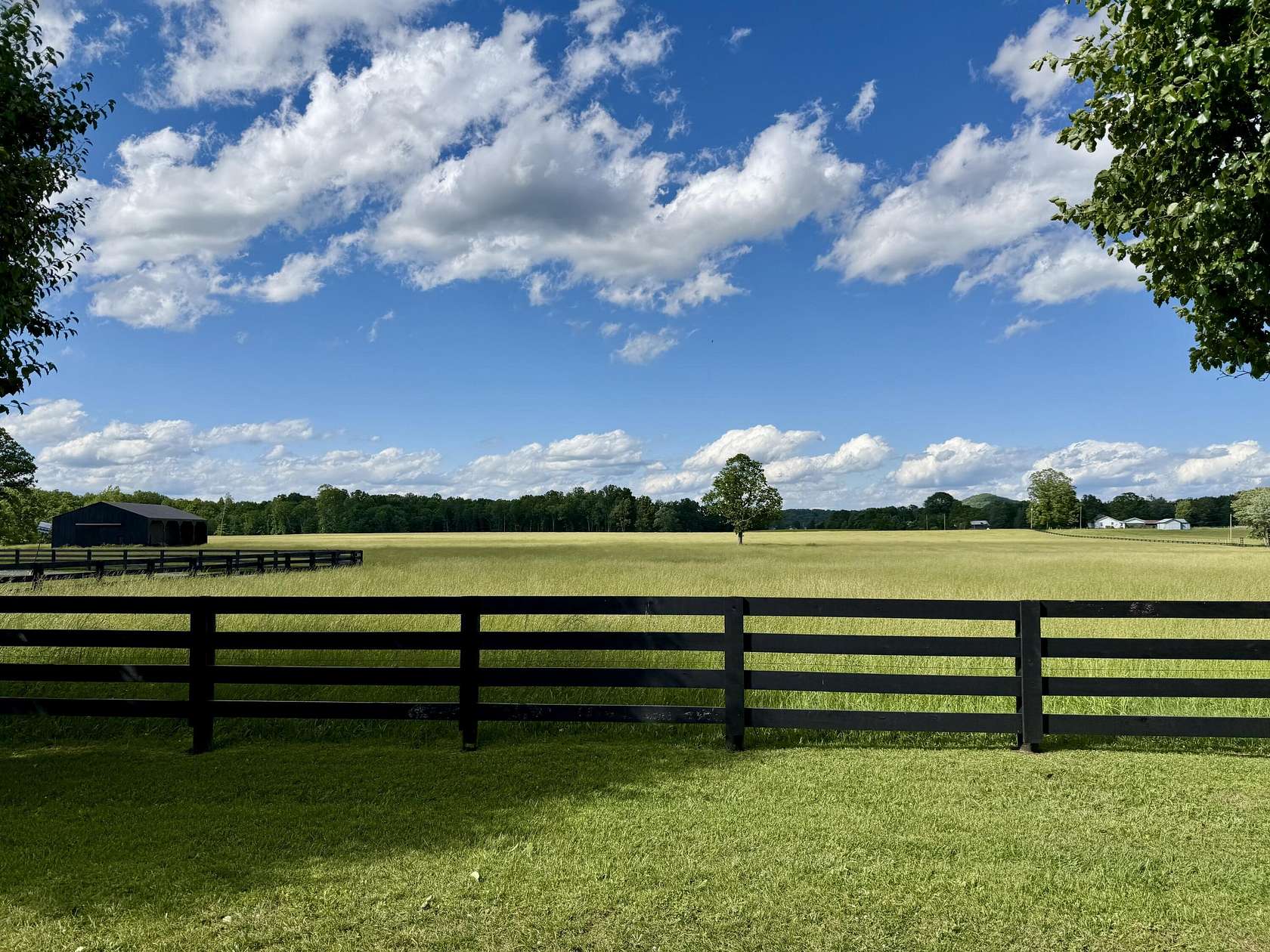 60 Acres of Land for Sale in Nancy, Kentucky