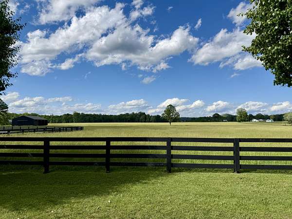 60 Acres of Land for Sale in Nancy, Kentucky