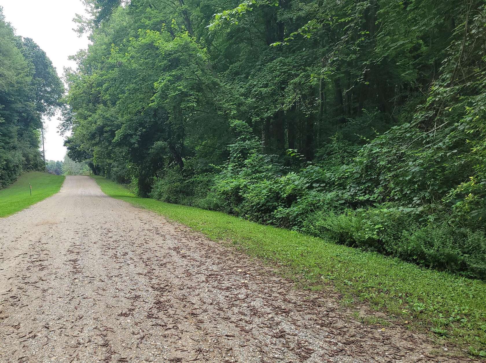 2.5 Acres of Land for Sale in Saranac, Michigan