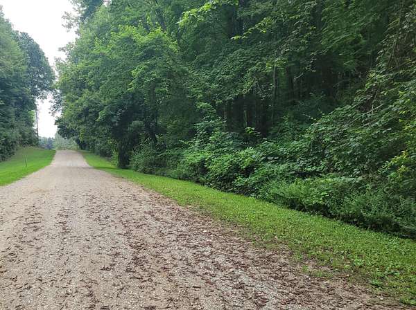2.5 Acres of Land for Sale in Saranac, Michigan