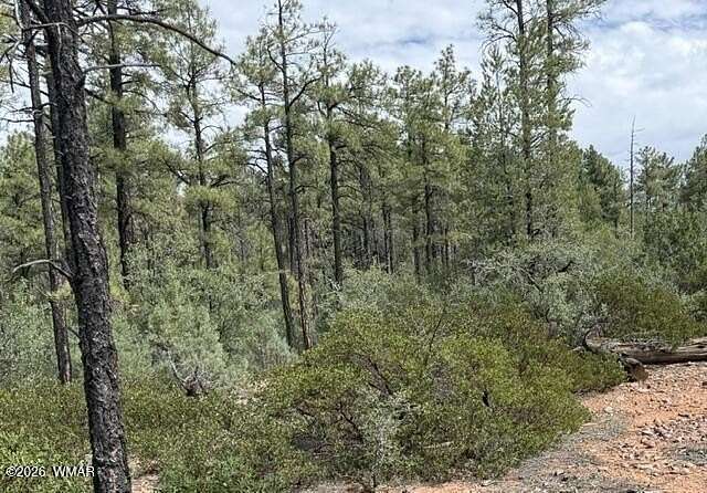 1.3 Acres of Residential Land for Sale in Show Low, Arizona