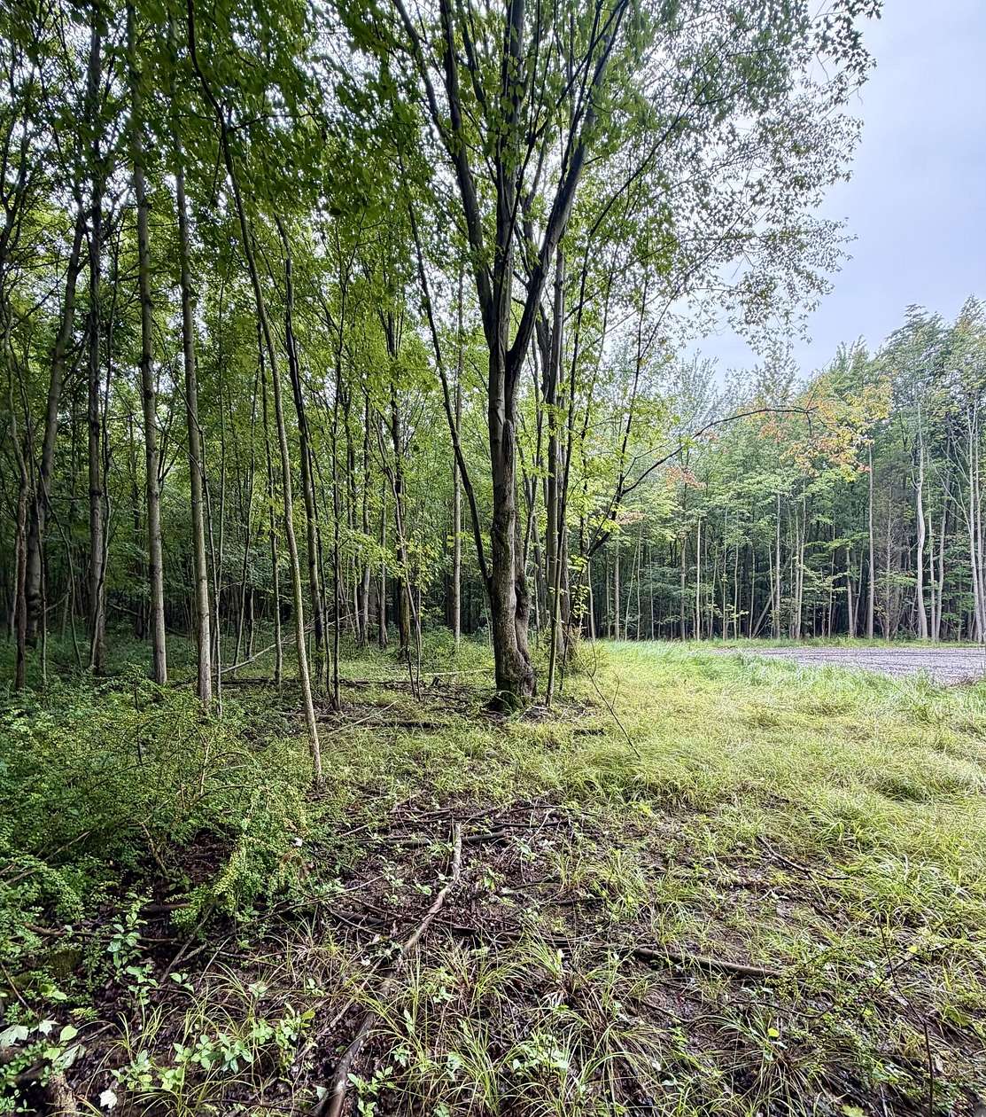8.8 Acres of Residential Land for Sale in South Haven, Michigan