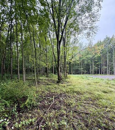 8.8 Acres of Residential Land for Sale in South Haven, Michigan