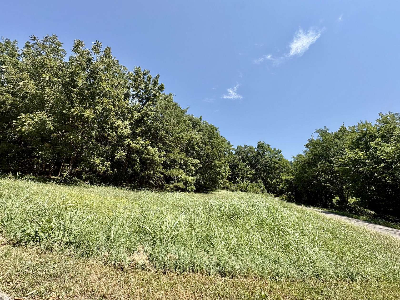 1.56 Acres of Mixed-Use Land for Sale in Greenfield, Missouri