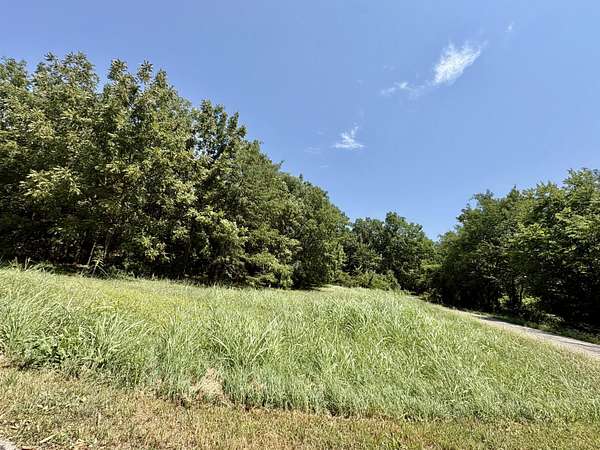 1.56 Acres of Mixed-Use Land for Sale in Greenfield, Missouri