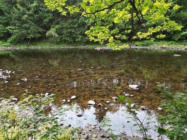 74 Acres of Recreational & Residential Land for Sale in Brownville, Maine