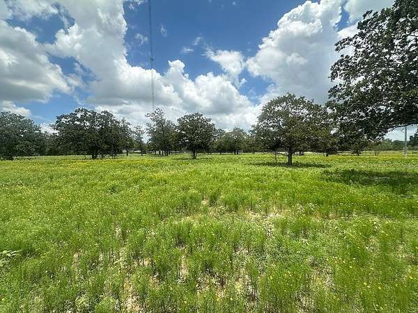 11.2 Acres of Land for Sale in Flatonia, Texas