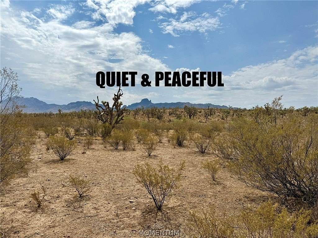 3 Acres of Residential Land for Sale in Dolan Springs, Arizona