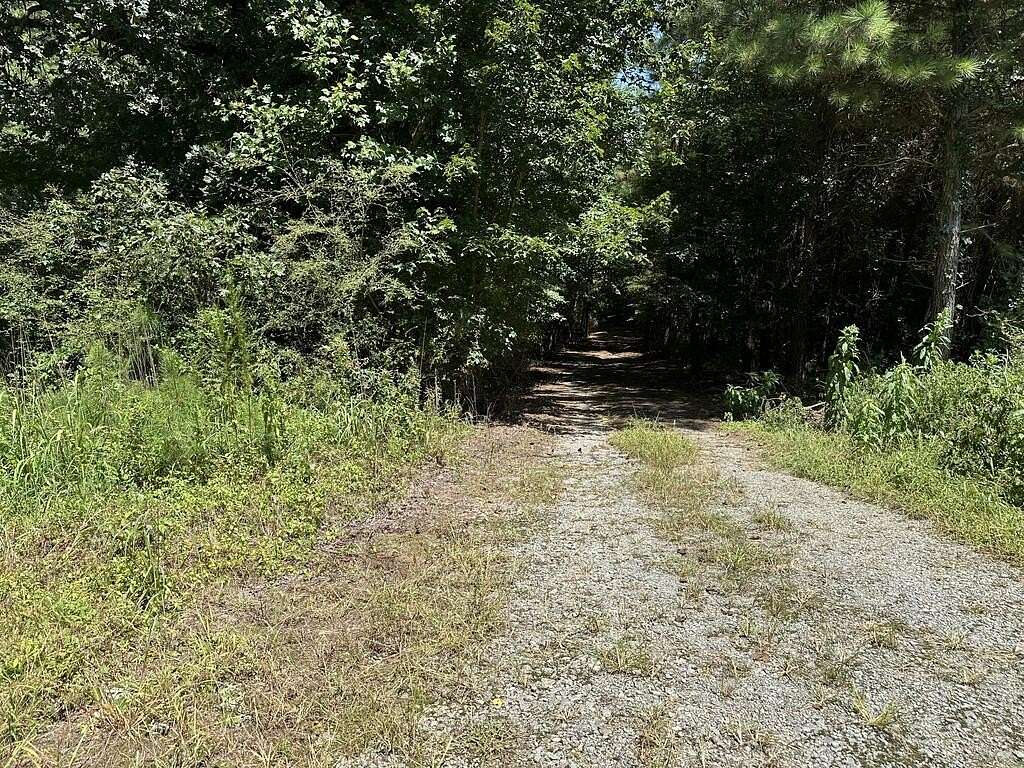 36.2 Acres of Land for Sale in Buchanan, Georgia