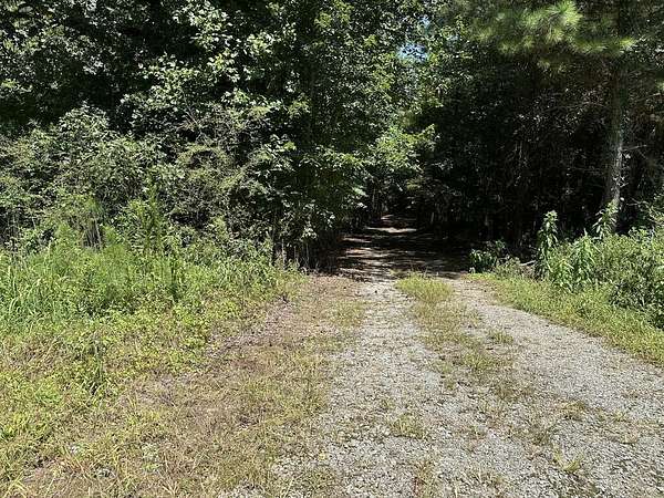 36.2 Acres of Land for Sale in Buchanan, Georgia
