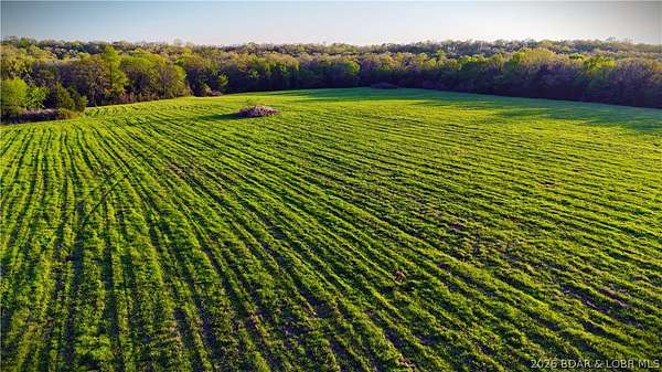 197 Acres of Land for Sale in Crocker, Missouri