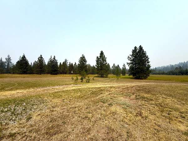 20 Acres of Land with Home for Sale in Malo, Washington