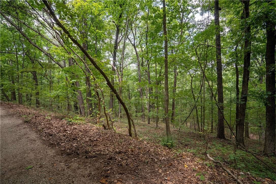 0.27 Acres of Land for Sale in Bella Vista, Arkansas