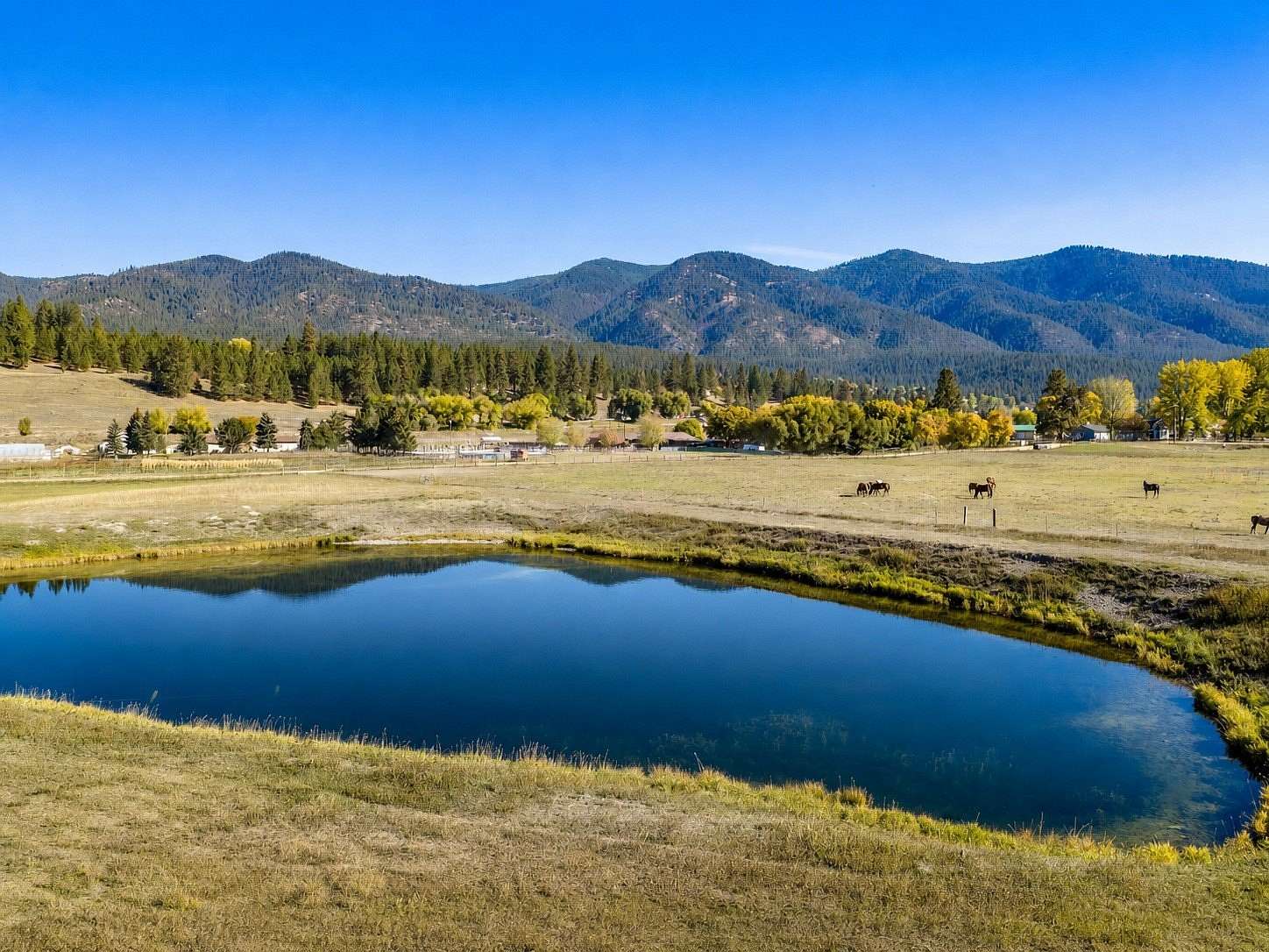 5 Acres of Residential Land for Sale in Frenchtown, Montana