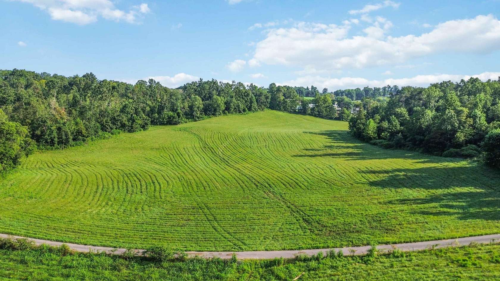 21 Acres of Recreational & Residential Land for Sale in Monticello, Kentucky