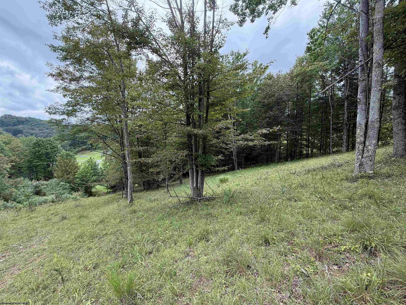 1.2 Acres of Residential Land for Sale in Buckhannon, West Virginia
