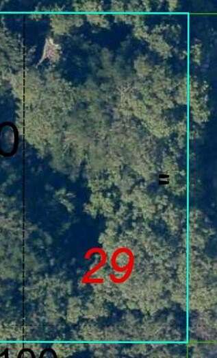 0.11 Acres of Land for Sale in Sugarloaf Key, Florida