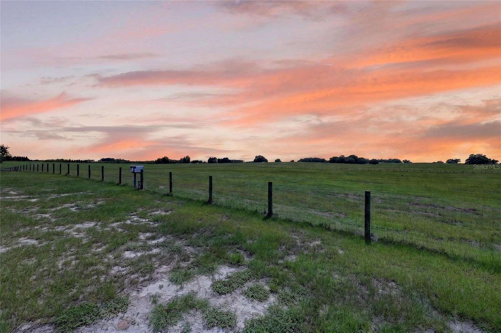 29.5 Acres of Agricultural Land for Sale in Morriston, Florida