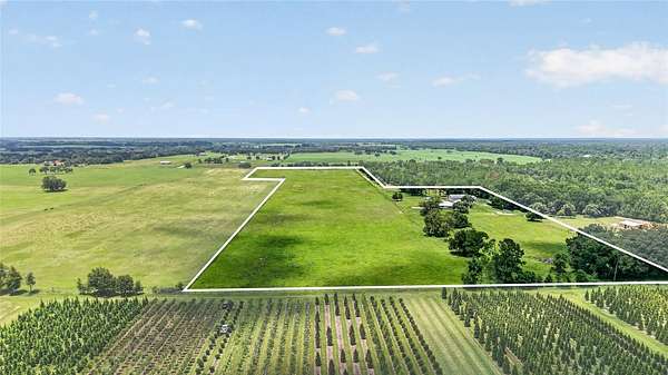 39.7 Acres of Agricultural Land with Home for Sale in Morriston, Florida