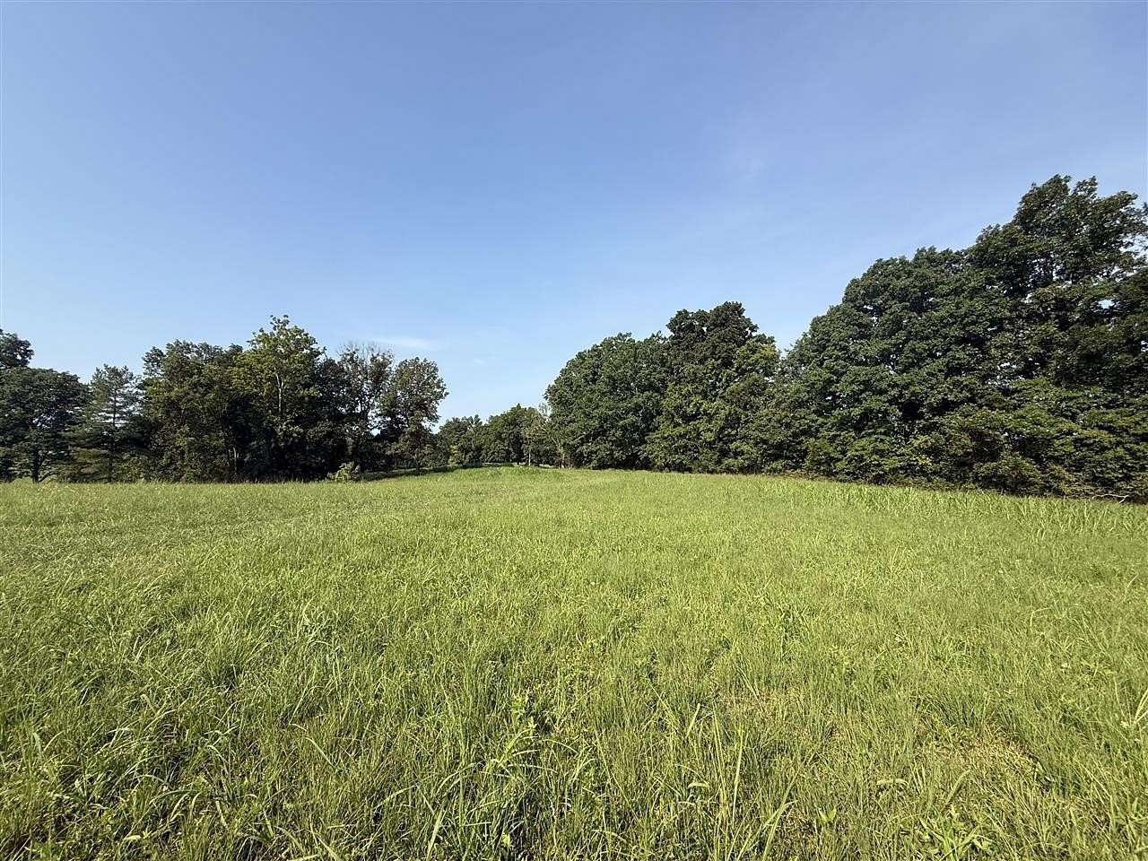 21.4 Acres of Recreational & Residential Land for Sale in Scottsville, Kentucky