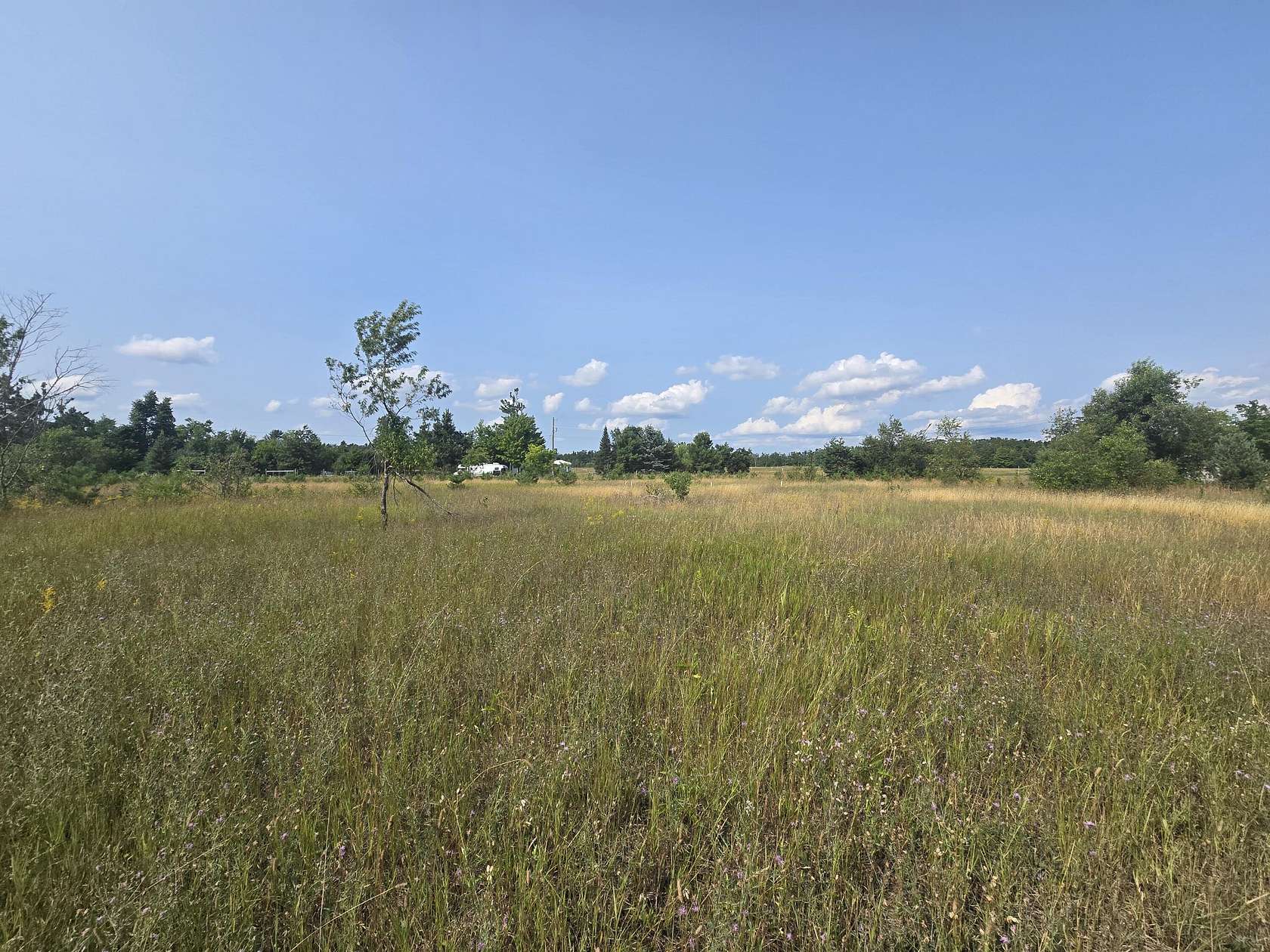 3.53 Acres of Land for Sale in Gaylord, Michigan