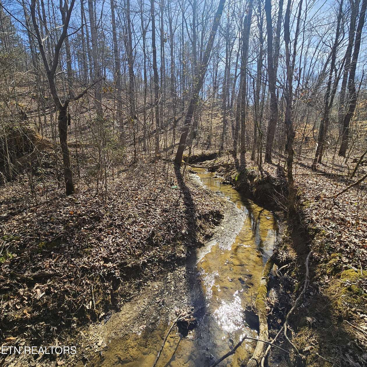 80 Acres of Land for Sale in Tellico Plains, Tennessee