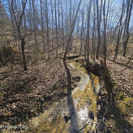 80 Acres of Land for Sale in Tellico Plains, Tennessee